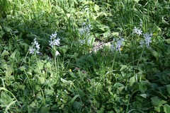 Killikus&reg; Fotographie